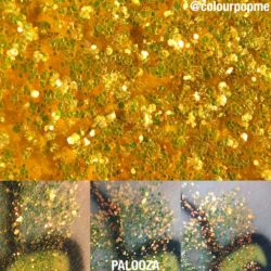 swatch of Colourpop PALOOZA pressed glitter