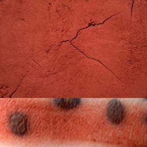 Colourpop NO PROMISES Super Shock Shadow Swatch and Photo
