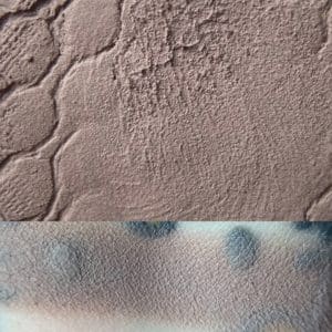 Colourpop GIRL CRUSH Super Shock Shadow swatch and photo