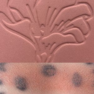 COAST TO COAST powder blush (Ride with the Mauve collection)
