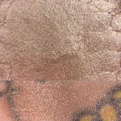 Colourpop SO THIS IS LOVE Super Shock Shadow swatch and photo