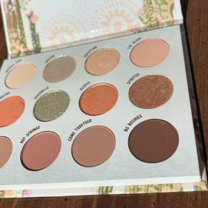 WILD NOTHING collection photos & swatches