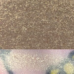 WAVELENGTH - Colourpop Garden Variety Palette