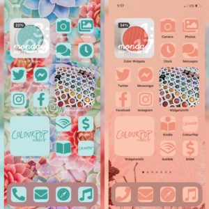 Colourpop GARDEN VARIETY iPhone personalized Home Screen download