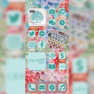 Colourpop Garden Variety iPhone iOS 14 customized home screen