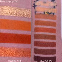 COLOURPOP eye shadow palette comparisons (TEENIE KINI, BIG POPPY)