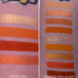COLOURPOP eye shadow palette comparisons (TEENIE KINI, ORANGE YOU GLAD?)