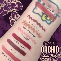 COLOURPOP ORCHID YOU NOT COLLECTION swatches