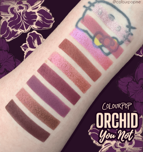 COLOURPOP ORCHID YOU NOT palette swatches
