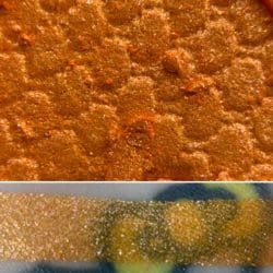 Colourpop PEEPS ORANGE Super Shock Shadow swatch and photo