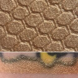 Colourpop WILTERN Super Shock Shadow swatch and photo